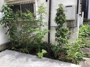 新宿区 M様邸 駐車場及び実の付く植物 東京都のお庭づくりなら木下造園 新宿区 造園 外構工事 お庭のお手入お任せ下さい